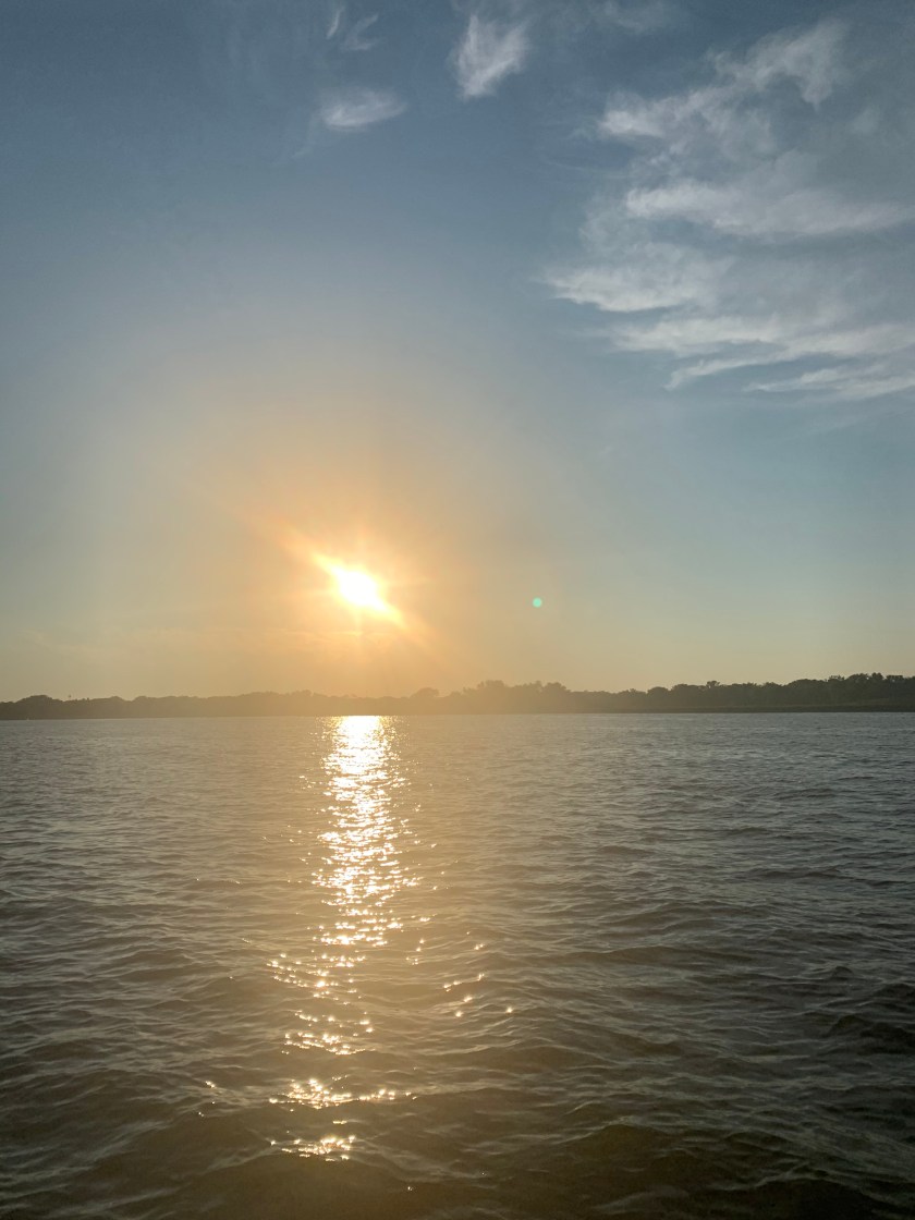 2A62B932-A96B-4B41-B785-64080836D04B